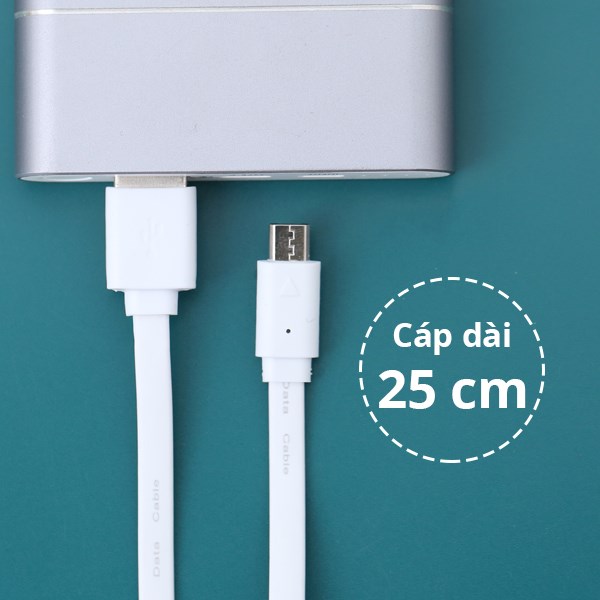 day-cap-micro-usb-025-m-eco-1